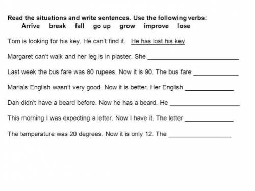 Read the situations and write sentences. Use the following verbs in the present perfect: