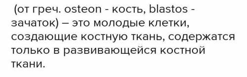 Допиши предложение: Основные клетки кости… (….) Молодые несформированные клетки костей …. (……) Оконч