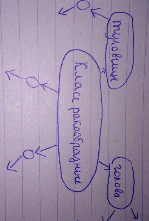 сделать кластер по биологии на тему тип членистоногие. класс ракообразные . примерно так , как показ