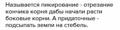 Какие стимулирования образования боковых и придаточ- корней вы еще знаете?