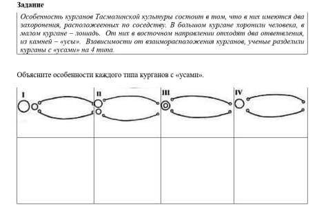 Объясните особенности каждого типа курганов с усами​