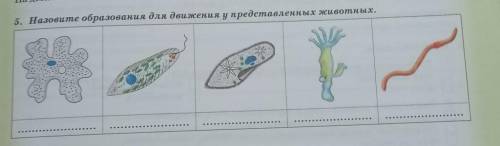 5. Назовите образования для движения у представленных животных.​