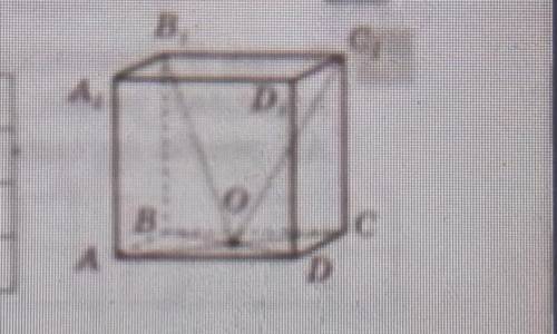 ДО 11:00. На рисунку зображено куб АBCDA1B1C1D1,точка О-центр гарні ABCD.Знайдіть градусну міру кута
