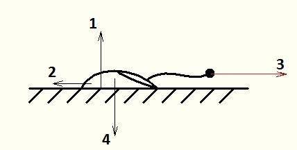Компьютерную мышку за провод тянут по столу. Сделайте схемати- ческий рисунок. Изобразите силу, прил
