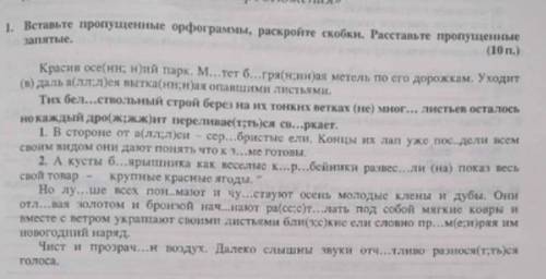 Перечитайте текст из задания No1(фотография приложена). Как вы думаете, о чём могут разговаривать де