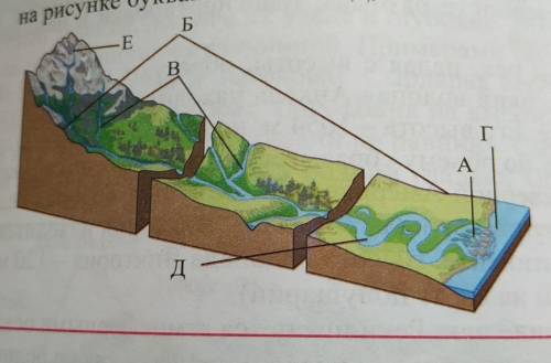Пользуясь учебником и учебным атласом Определите какие составные части речного бассейна обозначены н