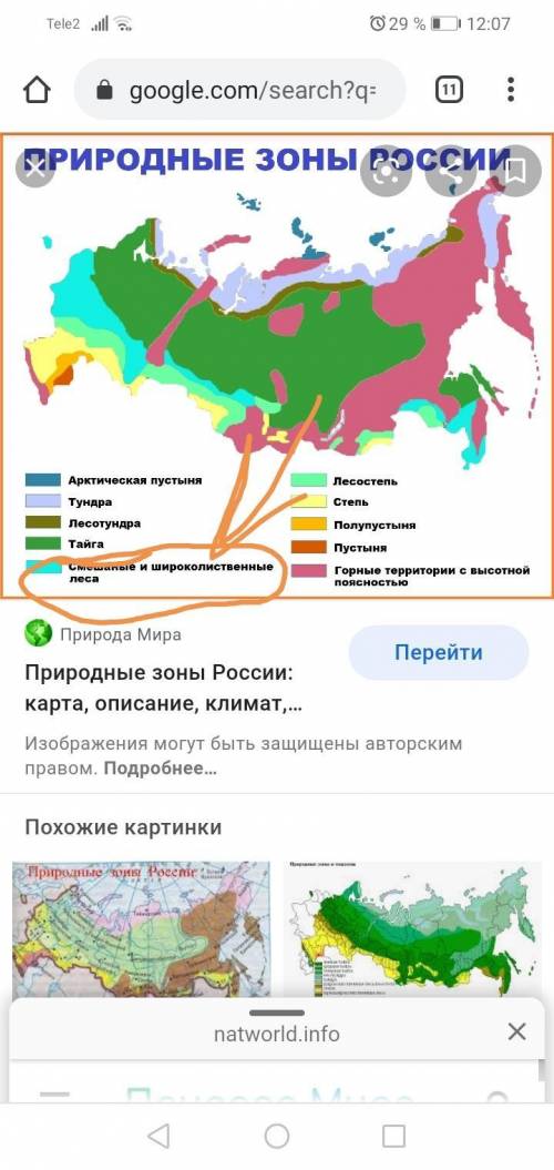 6. Напиши в какой природной зоне обитают перечисленные растения и животные? Вычеркни «Лишнее».а) Бур