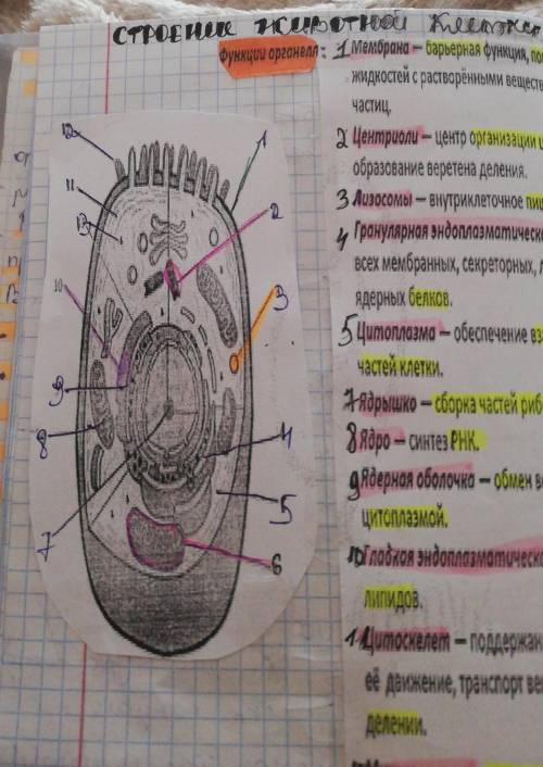 Скажите а что это под цифрой 6?​