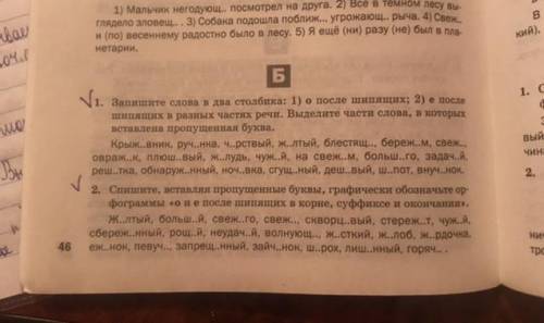 Буквы О и Е после шипящих на конце наречий. Решите то, что под галочкой.