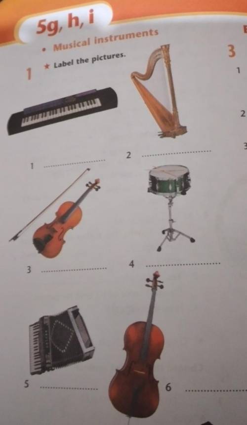 Musical Instruments1Label the pictures.1235​