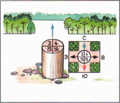 Как определить стороны света по снегу на овраге? Как определить стороны света по квартальному столбу