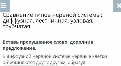 Вставь пропущенное слово, дополнив предложение. В диффузной нервной системе нервные клетки объединяю