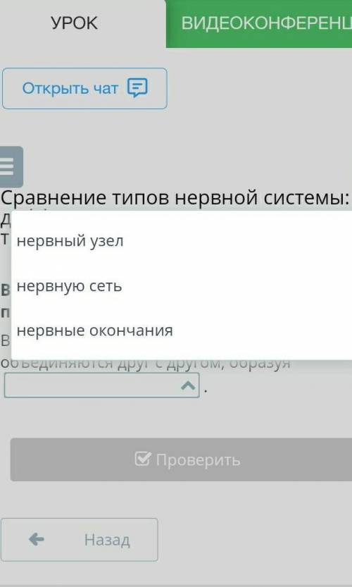 Сравнение типов нервной системы: диффузная, лестничная, узловая, трубчатая Вставь пропущенное слово,