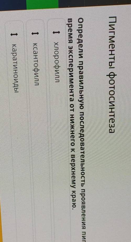 Пигменты фотосинтеза ХОпредели правильную последовательность проявления пигментов на хроматографичес
