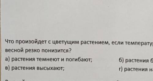 В) растения быстро растутг) растения начинают цвести все на фото​