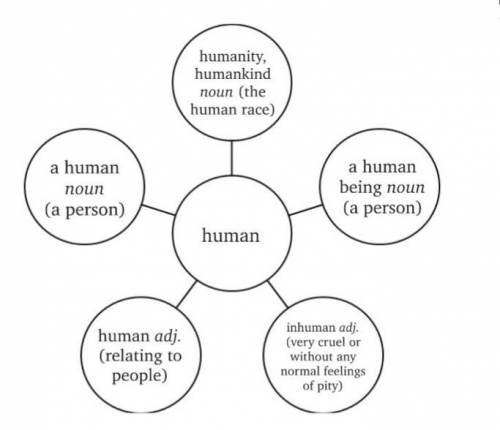 Look at the web chart for the word human. Make up sentences with the words from the web chart.