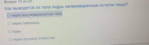 Как выводить из тела гидры непереваренные остатки пищи