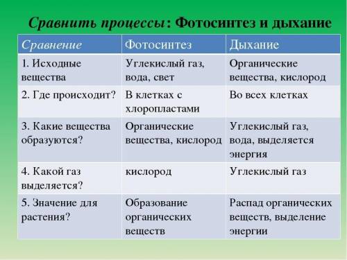 Используя приведённую информационную модель таблицу «Сравнить процессы: фотосинтез и дыхание» состав