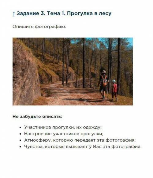 Опишите Фотографию 10 Предложений