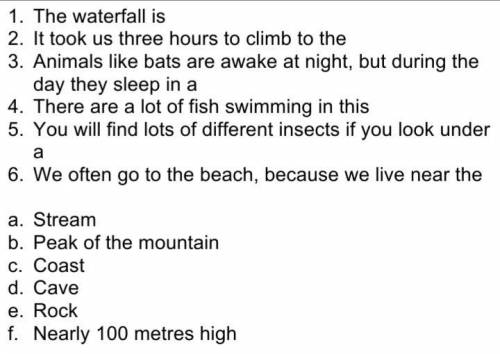 1. the waterfall is 2. it took us three hours to climb to the 3. animals like bats are awake at nigh