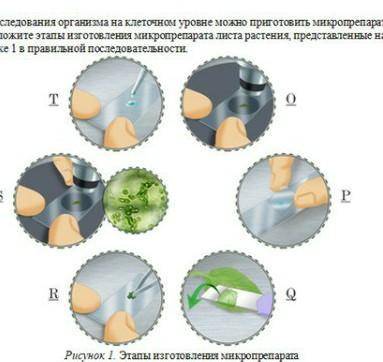 написать буквами что первое​