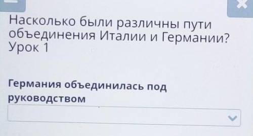 Насколько были различны пути объединения Италии и Германии?Урок 1Германия объединилась подруководств