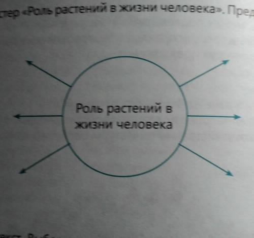 Роль растений в жизни человека​