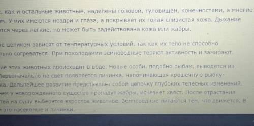 Сообщение на тему земноводные 7 класс по биологии кратко самое важное​