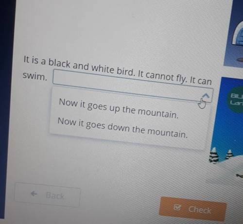 It is a black and white bird. It cannot fly. It can swim.ELINAllingNow it goes up the mountain.Now i