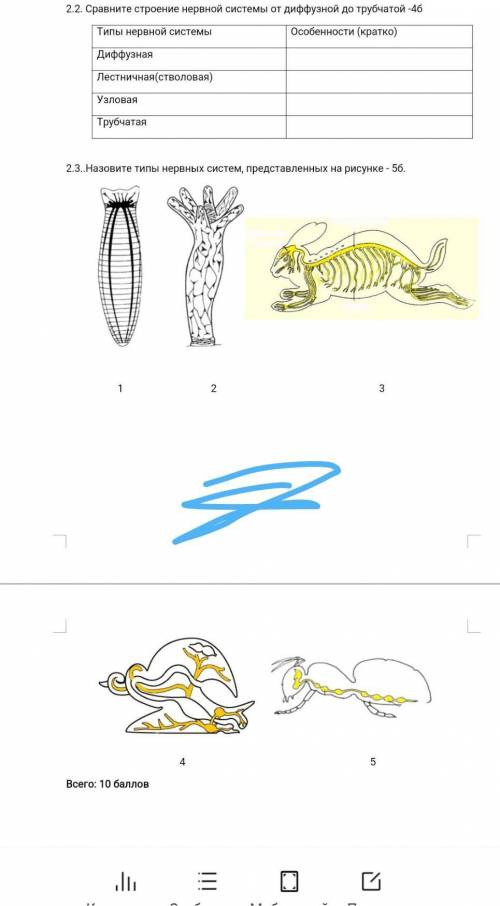 (7класс биология) Назовите типы нервных систем, представленных на рисунке2 3 задание сделайте​