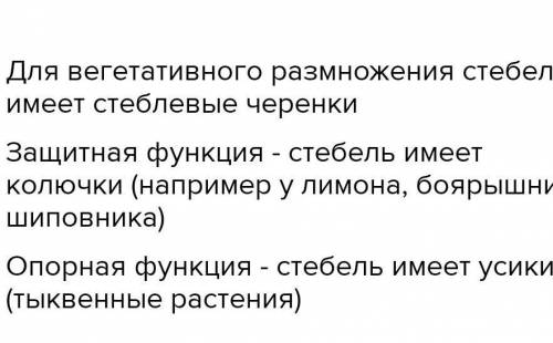 1.как при внешнее строение стебля в зависимости от его функции? 2. внутреннее строение стебля . Каки