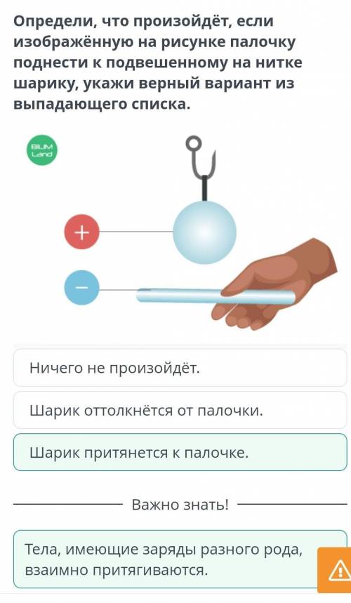 Ничего не произойдёт.Шарик притянется к палочке.Шарик оттолкнётся от палочки. ​