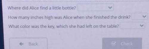 Alice in the Wonderland. Down the Rabbit Hole. Lesson 2 Read the text and choose the correct answer.