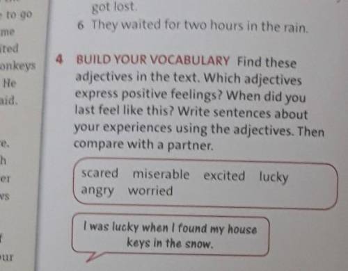 build your Vocabulary find these adjectives in the text . Which did you last feel like this? Write s