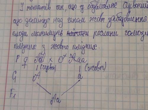 1 Вчені вирішили дізнатись генотип батьківської особини. Вони схрестили цю особину з особиною, що є