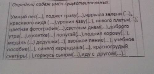 Определи падеж имён существительных: умный пёс( ...), поджёг траву(...), нарвала зелени(...), красив