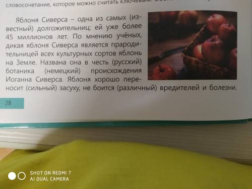 4. Выпишите словосочетания «имя существительное + имя прилагательное», ставя имена прилагательные в