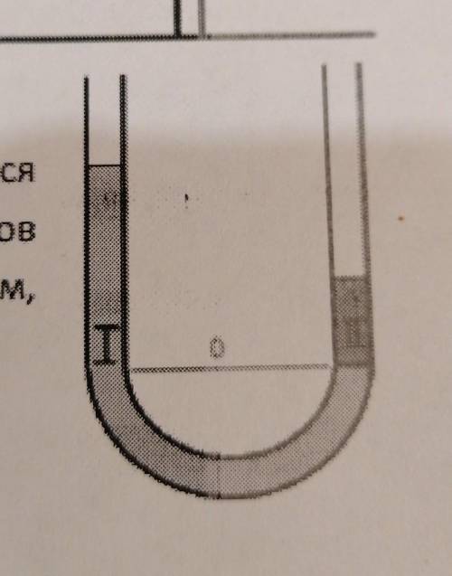 В u образных трубках находятся две несмешивающиеся жидкости на каком из приведенных рисунков
