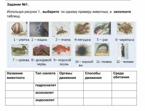 Задание №1. Используя рисунок 1, выберите по одному примеру животных, и заполните таблицу.Название ж