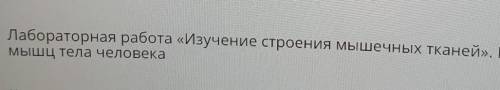 здравствуйте, можно ответы на все задание по биологии.Тема:Лабораторная работаИзучение строения мыш