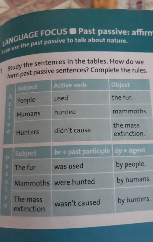 Study the sentences in the tables. How do we form past passive sentences? Complete the rules.Кімде б