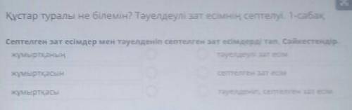 Құстар туралы не білемін? Тәуелдеулі зат есімнің септелуі. 1-сабақ Септелген зат есімдер мен тәуелде