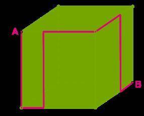 Муха ползает по поверхности куба вдоль красной линии от точки A к точке B. Определи длину проделанно
