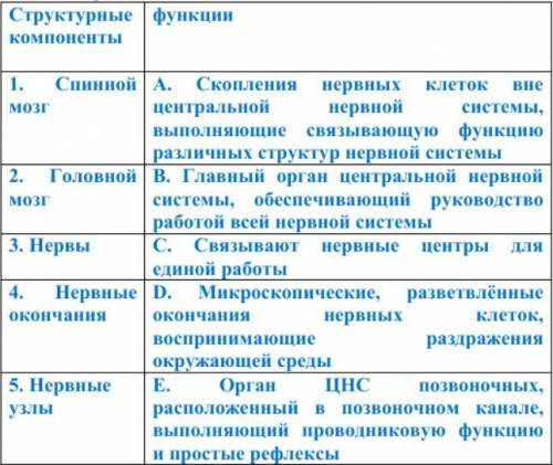 Задание 2. установи соответствие