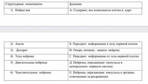 Структурные компоненты и их функции