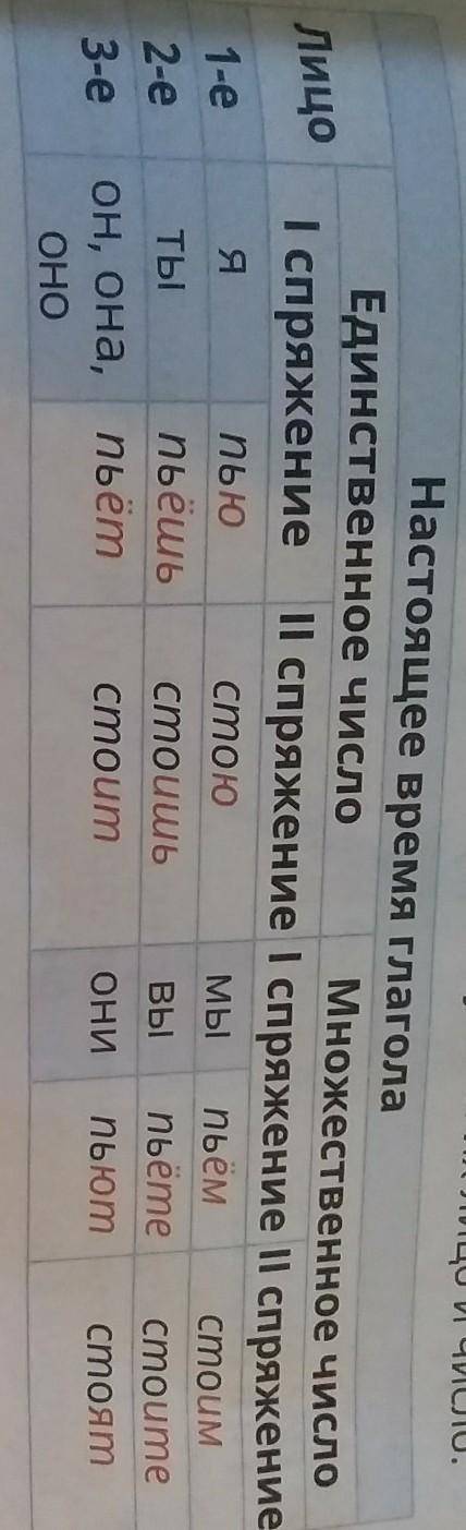 Выпиши предложения с выделенными глаголами. Определи время глаголов. С таблицы укажи их лицо и число