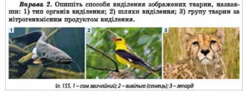 Опишить виділення зображених тварин 1) тип органів виділення 2) шлях виділення 3) групу тварин нітро