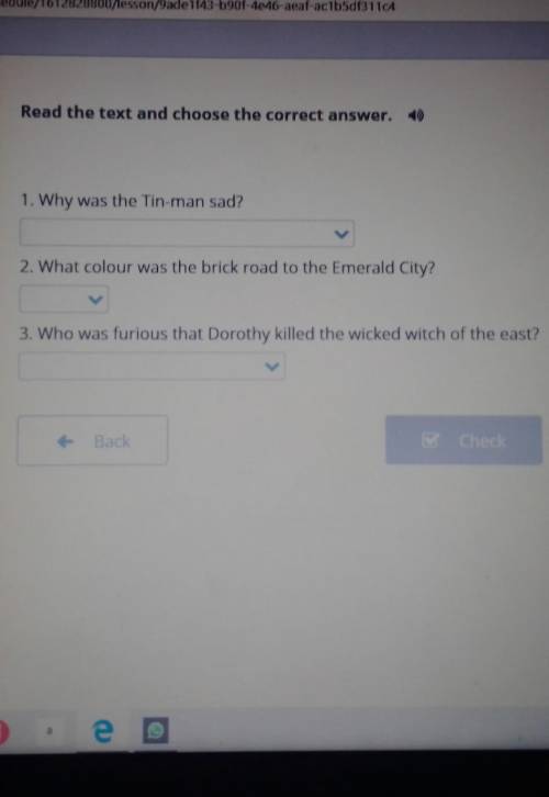 Read the text and choose the correct answer. 1) 1. Why was the Tin-man sad?2. What colour was the br