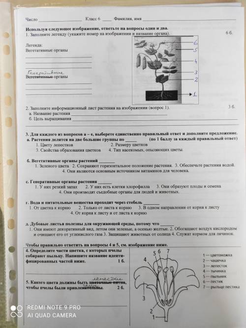 РЕШИТЕ Задания: 3,4,5,6,7,8 ЧТО ТО ИЗ ЭТОГО ЖЕЛАТЕЛЬНО ВСЕ ВАС