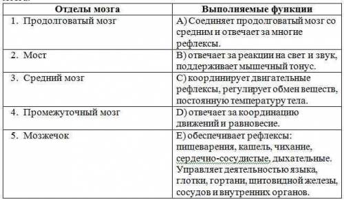 Установите соответствие между структурой и отделом. Установите соответствие между анализаторами и их структурами.